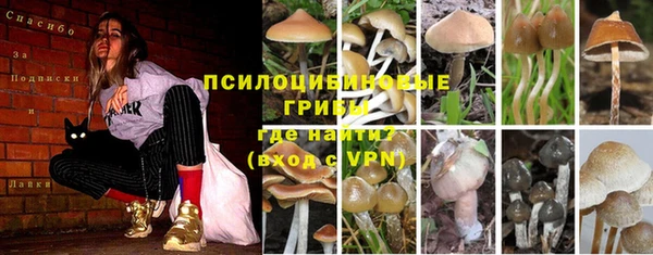 гашишное масло Аркадак