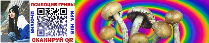 Галлюциногенные грибы Psilocybe  где продают наркотики  Арсеньев 